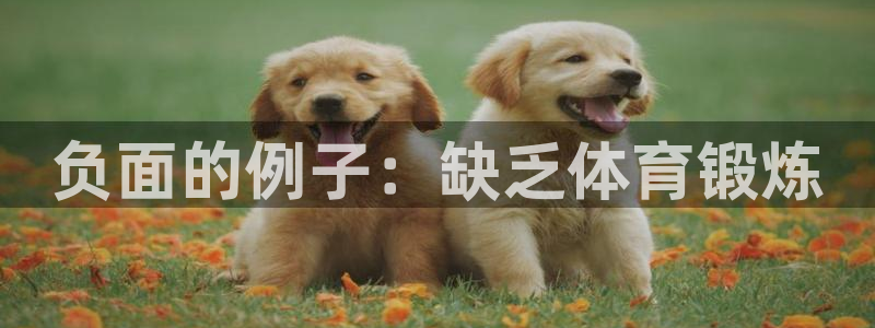 喜乐在线登录注册