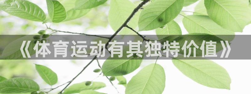 意昂4平台