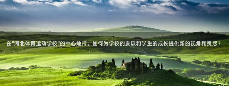 上海喜乐在线汽车电子有限公司