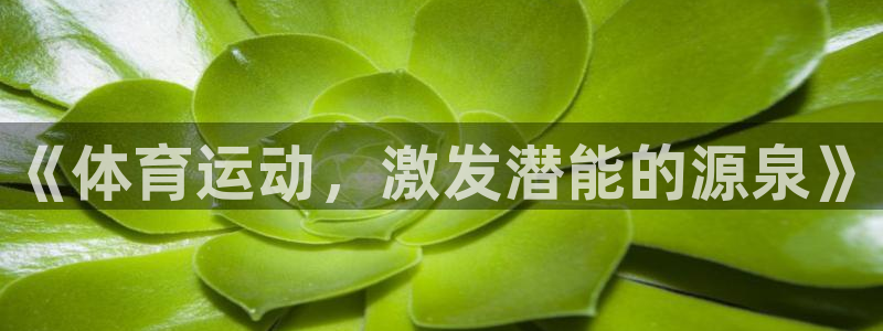 喜乐在线体育注册平台