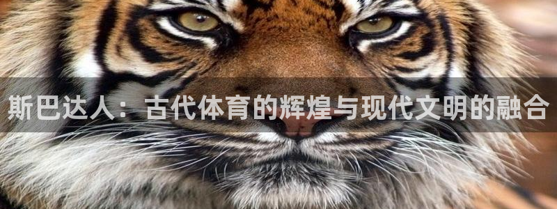 意昂3平台