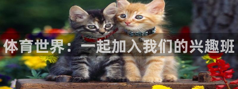 意昂3平台注册