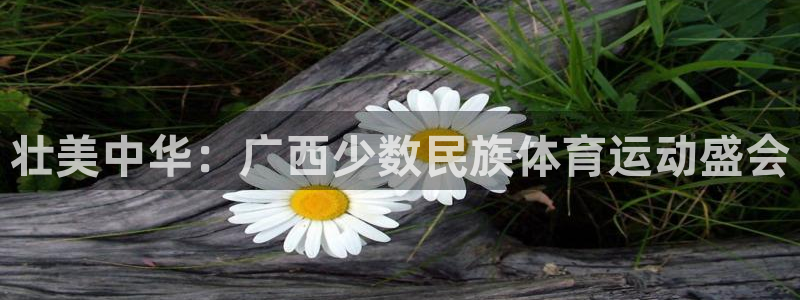喜乐在线集团