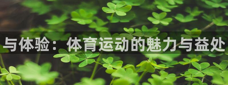 喜乐在线体育app下载