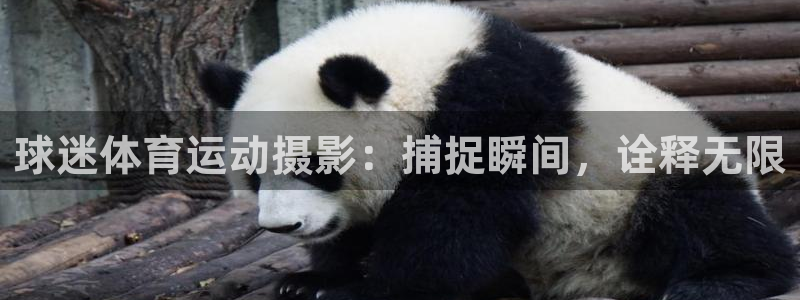 意昂体育注册代理