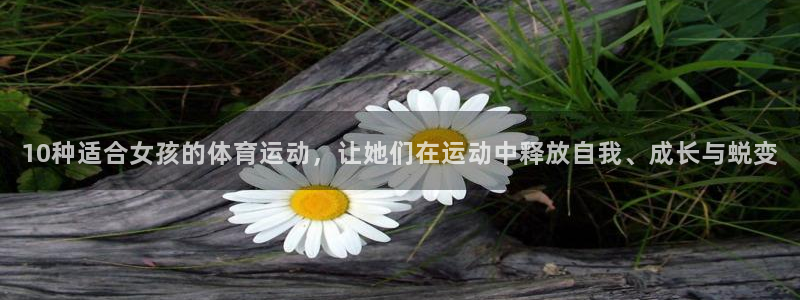 喜乐在线体育平台总代理