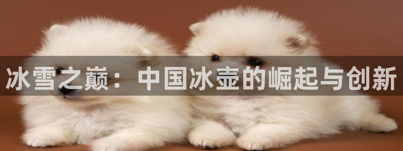 喜乐在线体育3