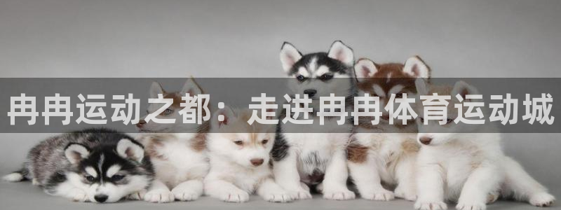 意昂主管