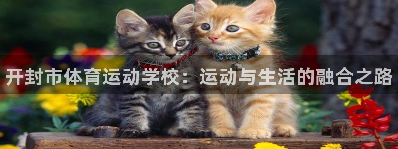 喜乐在线5