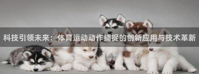 喜乐在线注册