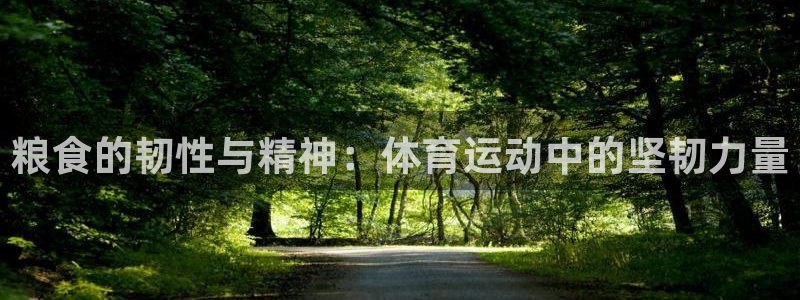 喜乐在线凯捷平台