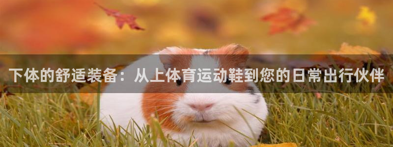 意昂3平台登录注册